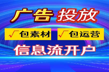 SEM搜索引擎优化成功案例，揭示优化策略与技巧